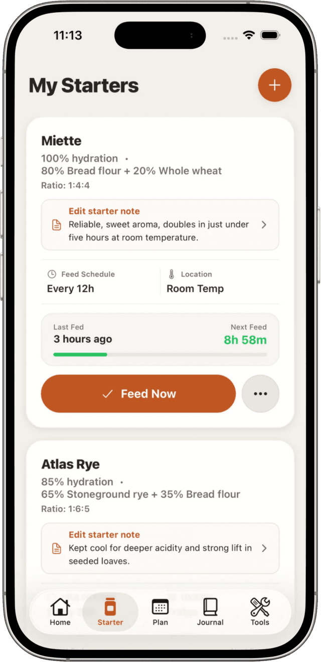 Sourdough Forge - Starter Tracking